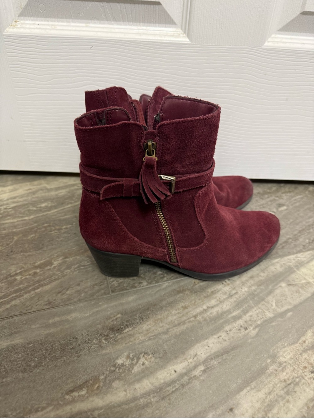 Earth Burgundy Suede Ankle Booties with Tassel Zip Detail